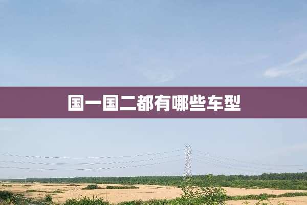 国一国二都有哪些车型
