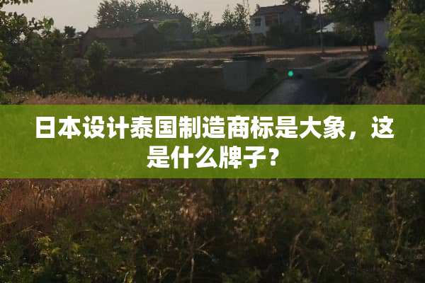 日本设计泰国制造商标是大象，这是什么牌子？