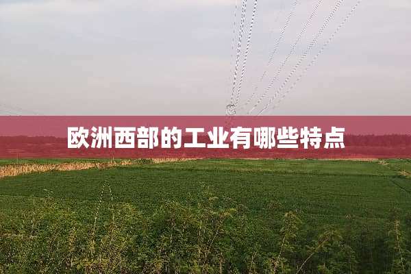 欧洲西部的工业有哪些特点