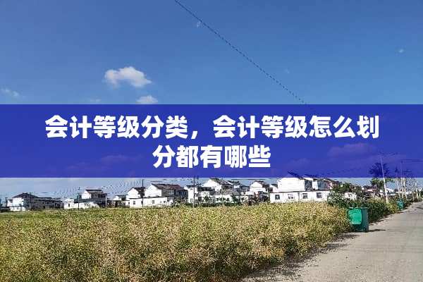 会计等级分类，会计等级怎么划分都有哪些
