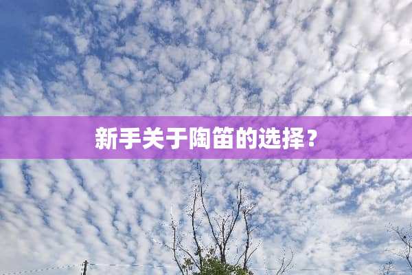 新手关于陶笛的选择？