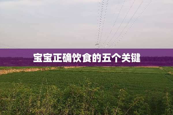 宝宝正确饮食的五个关键