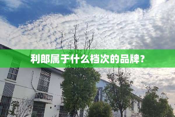 利郎属于什么档次的品牌？