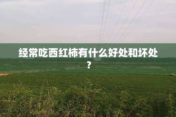 经常吃西红柿有什么好处和坏处？