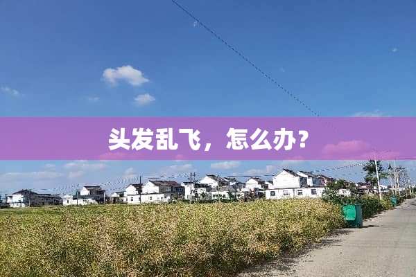 头发乱飞，怎么办？