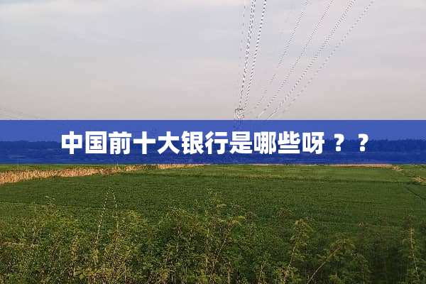 中国前十大银行是哪些呀 ？？