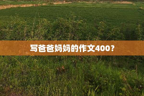 写爸爸***作文400？