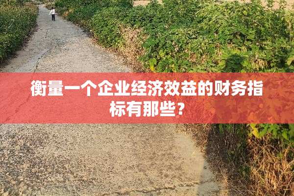衡量一个企业经济效益的财务指标有那些？
