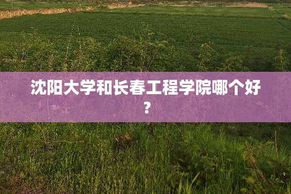 沈阳大学和长春工程学院哪个好？
