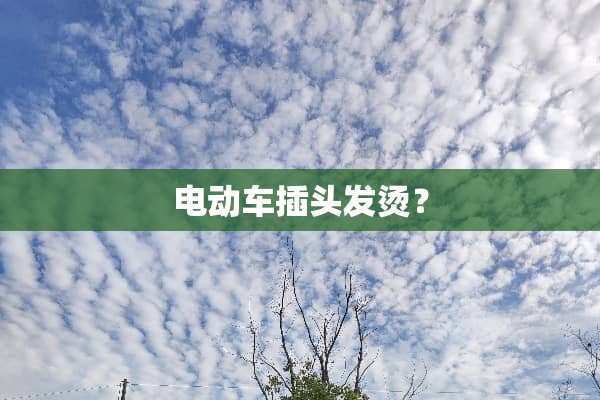 电动车插头发烫？