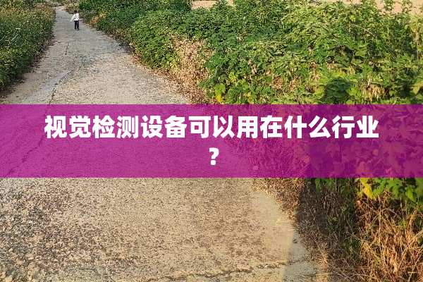 视觉检测设备可以用在什么行业？
