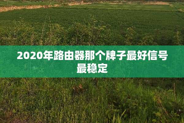 2020年路由器那个牌子最好信号最稳定