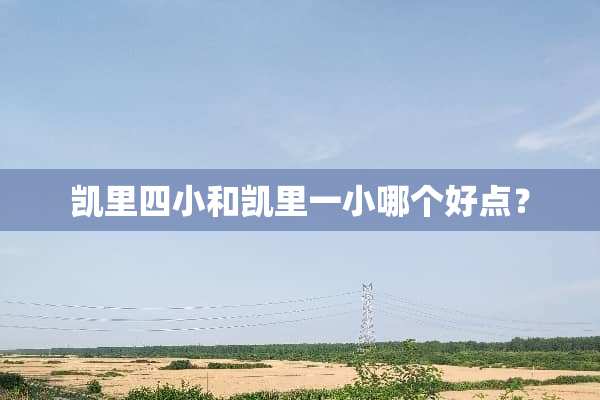 凯里四小和凯里一小哪个好点？