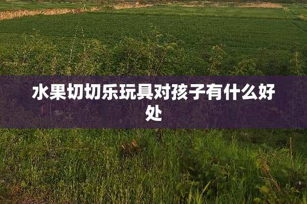 水果切切乐玩具对孩子有什么好处