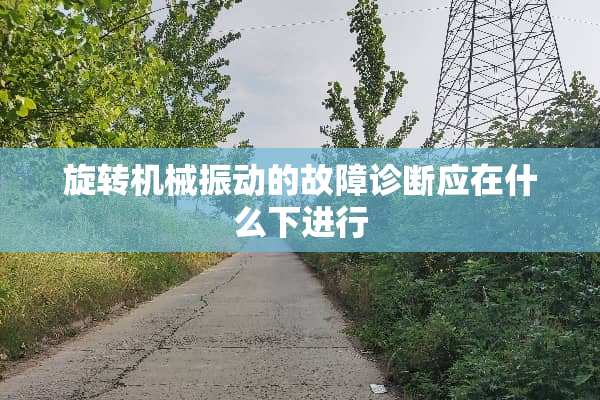 旋转机械振动的故障诊断应在什么下进行