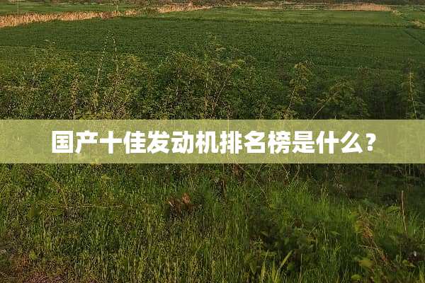 国产十佳发动机排名榜是什么？