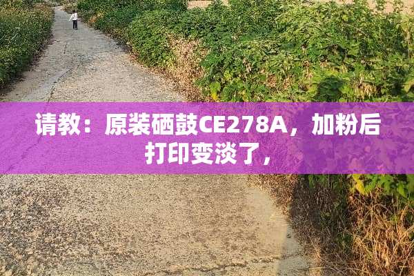 请教：原装硒鼓CE278A，加粉后打印变淡了，