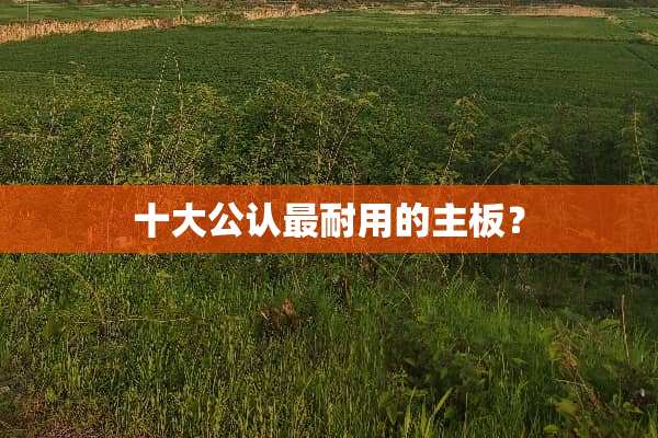十大公认最耐用的主板？