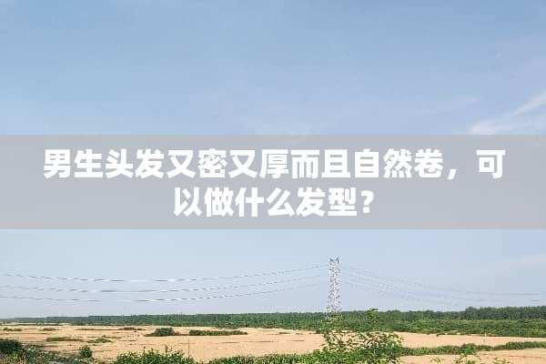 男生头发又密又厚而且自然卷，可以做什么发型？