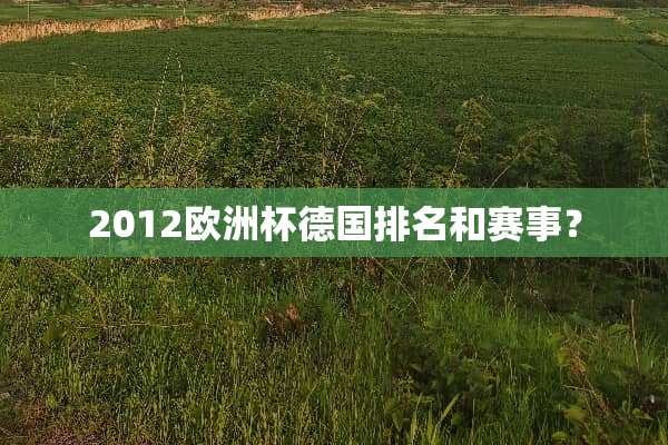 2012欧洲杯德国排名和赛事？