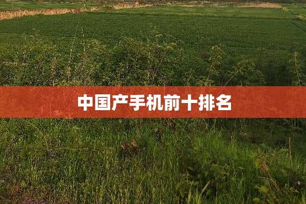 中国产手机前十排名