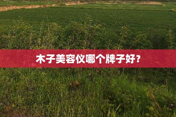 木子美容仪哪个牌子好？