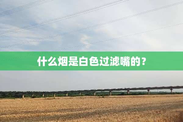 什么烟是白色过滤嘴的？
