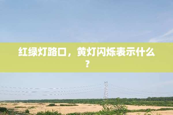 红绿灯路口，黄灯闪烁表示什么？
