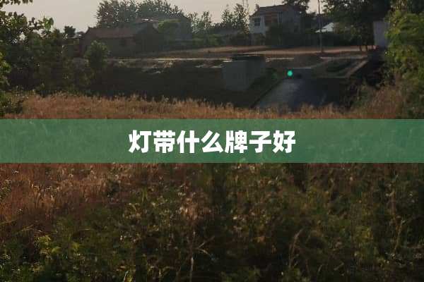 灯带什么牌子好