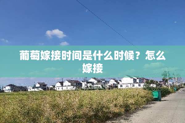 葡萄嫁接时间是什么时候？怎么嫁接