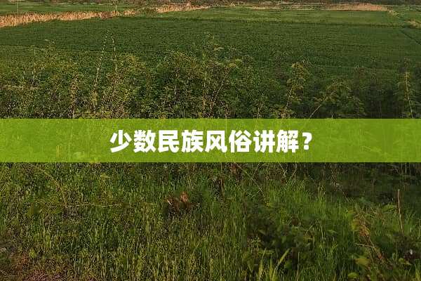 少数民族风俗讲解？