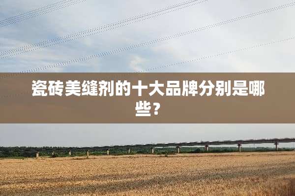 瓷砖美缝剂的十大品牌分别是哪些？