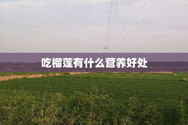 吃榴莲有什么营养好处