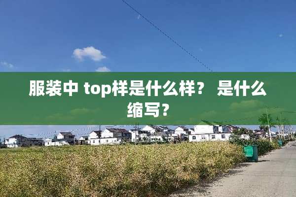 服装中 top样是什么样？ 是什么缩写？