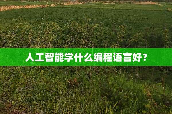 人工智能学什么编程语言好？