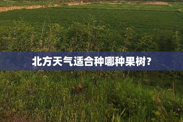 北方天气适合种哪种果树？