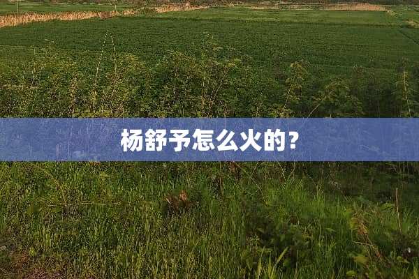 杨舒予怎么火的？