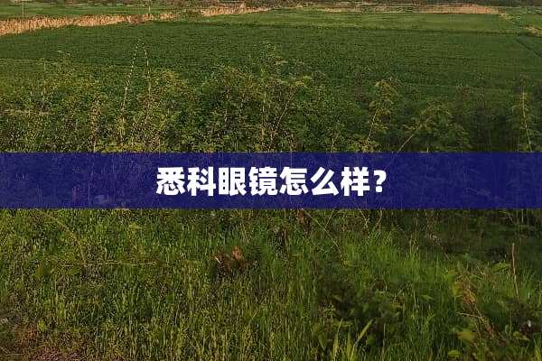 悉科眼镜怎么样？