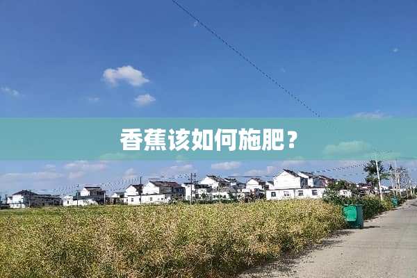 香蕉该如何施肥？