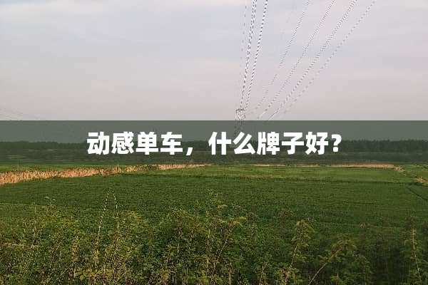 动感单车，什么牌子好？