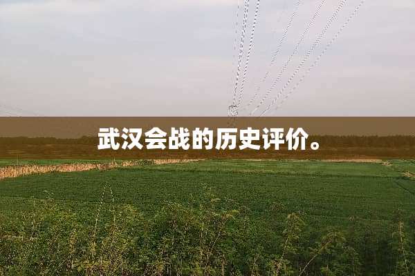 武汉会战的历史评价。