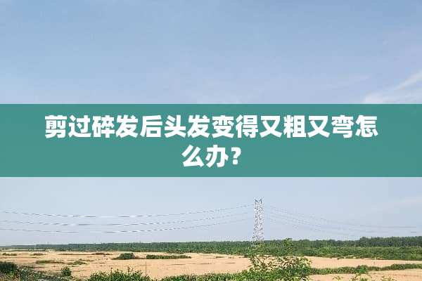 剪过碎发后头发变得又粗又弯怎么办？