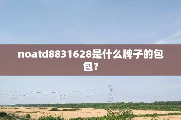 noatd8831628是什么牌子的包包？