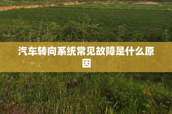 汽车转向系统常见故障是什么原因