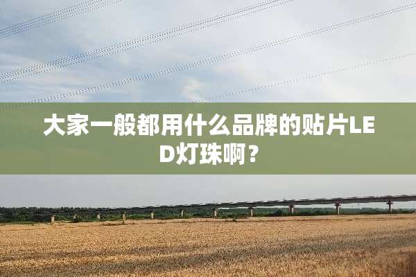 大家一般都用什么品牌的贴片LED灯珠啊？