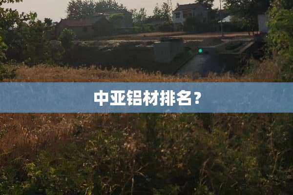 中亚铝材排名？