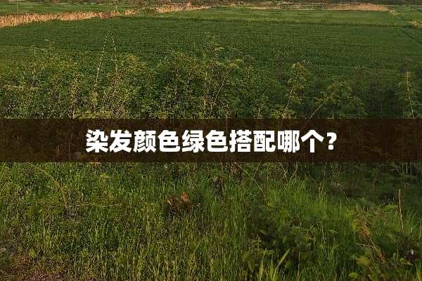 染发颜色绿色搭配哪个？