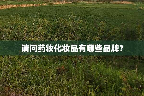 请问药妆化妆品有哪些品牌？