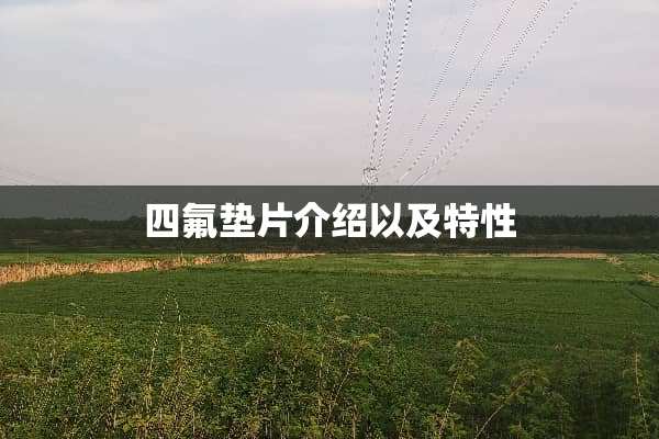 四氟垫片介绍以及特性