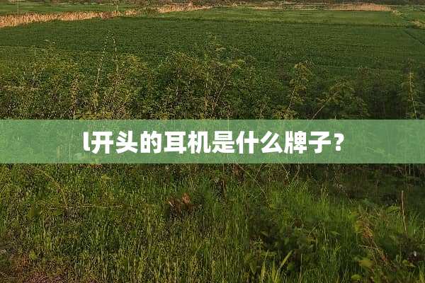 l开头的耳机是什么牌子？